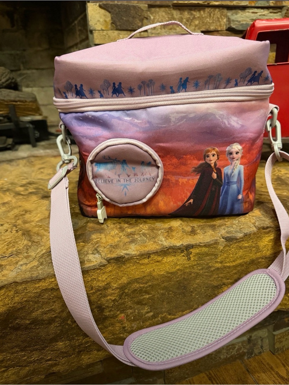 Disney Frozen II Pink Purple tonies bag